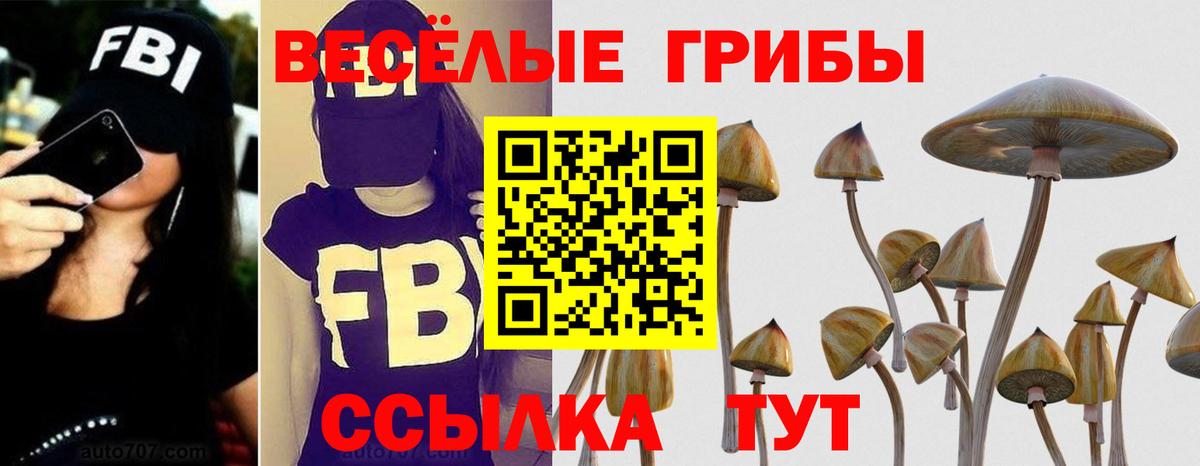 Псилоцибиновые грибы Cubensis  Вход с VPN  Вятские Поляны 